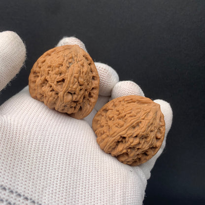 Chengde Dense Grain Walnuts | Width35*Belly33*Height33 | 0260714-2 | Premium