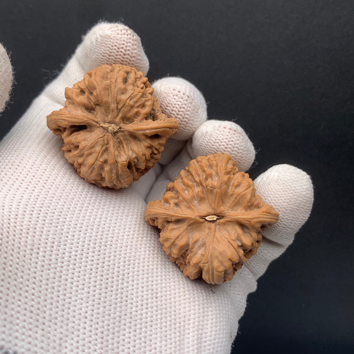 Chengde Dense Grain Walnuts | Width35*Belly33*Height33 | 0260714-2 | Premium