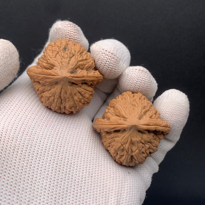 Chengde Dense Grain Walnuts | Width35*Belly33*Height33 | 0260714-2 | Premium