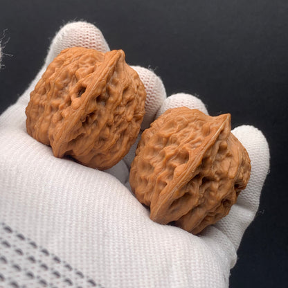 Premium | 41mm Cuikai Noble Hat Walnuts | No. 67272