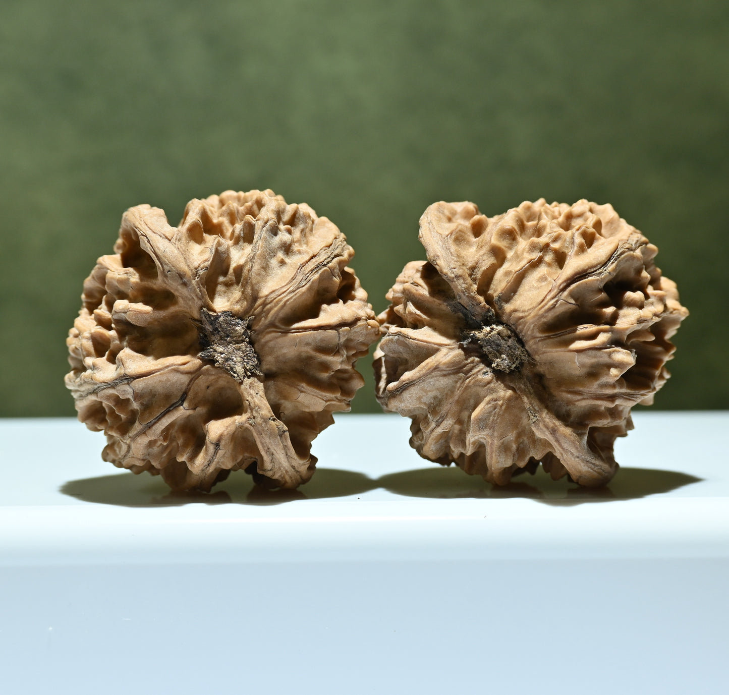 Budget Wenwan Walnuts | Minor Flaws | Great for Beginners｜Apple Round Wenwan Walnuts