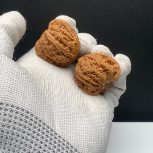Dense Grain Walnuts | Width33*Belly32*Height31 | No. 67930 | Premium