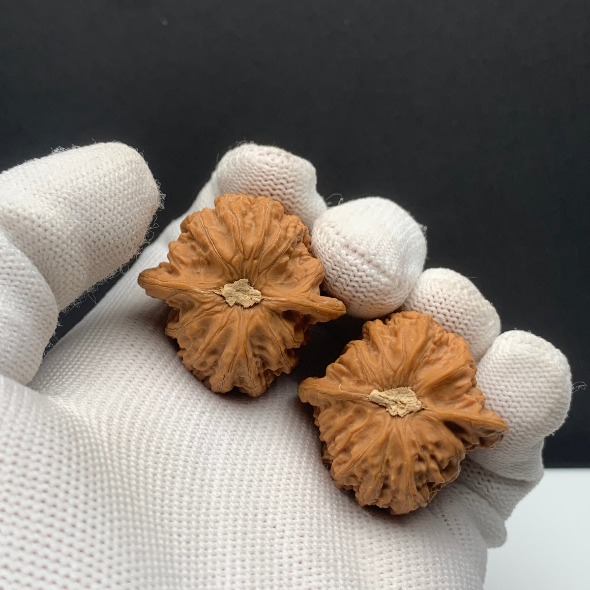 Dense Grain Walnuts | Width33*Belly32*Height31 | No. 67930 | Premium