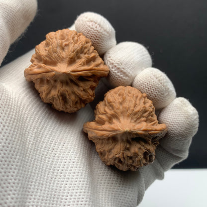 Dragon Vein Triangle Walnuts | Width34*Belly33*Height36 | NO.608182 | Premium