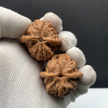 Dragon Vein Triangle Walnuts | Width34*Belly33*Height36 | NO.608182 | Premium