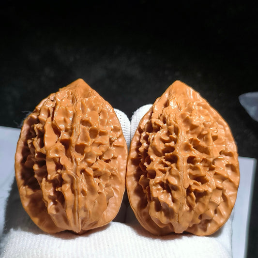Specical Price | Fortune Mouse Wenwan Walnuts（Ragular Grade）