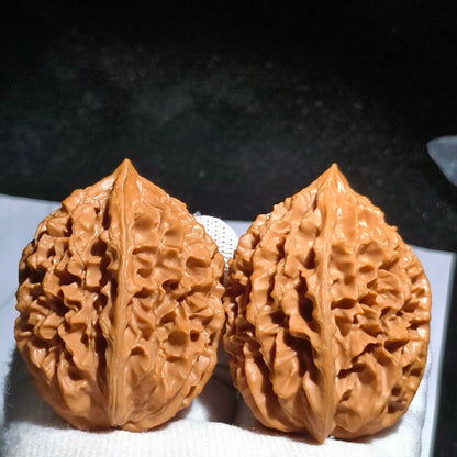 Specical Price | Fortune Mouse Wenwan Walnuts（Ragular Grade）