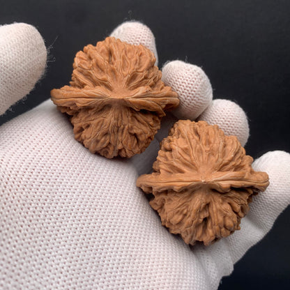 Four-Story Tower Walnuts | Width40*Belly37*Height35 | No. 0260625-02 | Premium