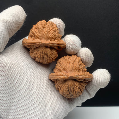 Four‑Story Tower Walnuts | Width41*Belly40*Height36 | No. 67017 | Premium