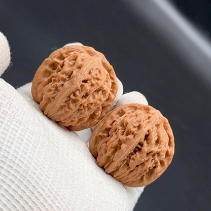 Specical Price | Four Story Tower Wenwan walnuts（Ragular Grade）