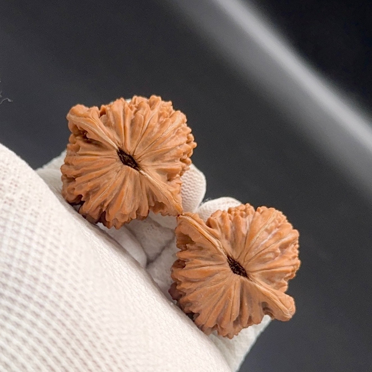Specical Price | Four Story Tower Wenwan walnuts（Ragular Grade）