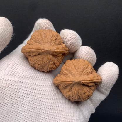 Golden Cicada Walnuts | Width37*Belly32*Height32 | No. 0260714-4 | Premium