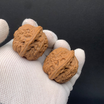 Golden Cicada Walnuts | Width37*Belly32*Height32 | No. 0260714-4 | Premium