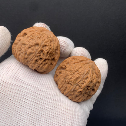 Golden Cicada Walnuts | Width37*Belly32*Height32 | No. 0260714-4 | Premium