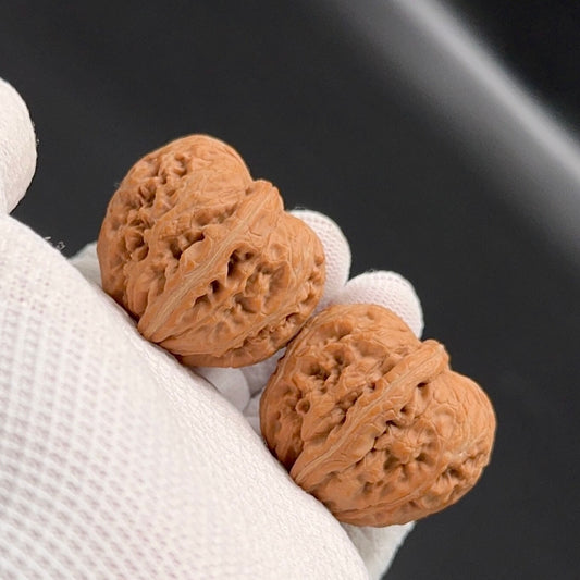 Specical Price |Golden Ingot Wenwan Walnuts （Ragular Grade）