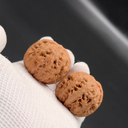 Specical Price |Golden Ingot Wenwan Walnuts （Ragular Grade）