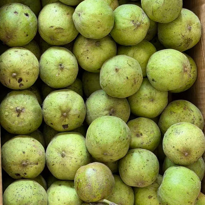 Fresh 2026 Harvest of Chinese Wenwan Walnuts