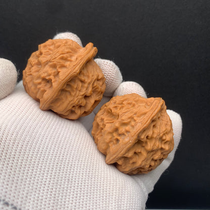 Heaven & Earth Walnuts | Width39*Belly38*Height38 | No. 0260622-05 | Premium