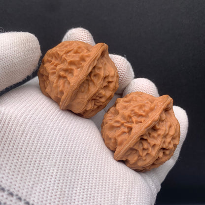 Premium | 39mm Heaven &Earth Walnut| No. 0260625-03