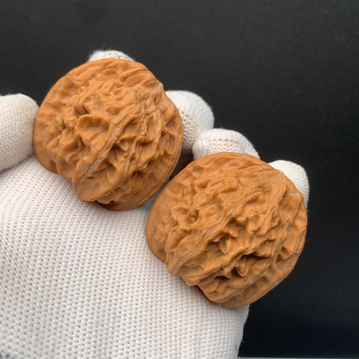 Heaven & Earth Walnuts | Width39*Belly38*Height38 | No. 0260622-05 | Premium
