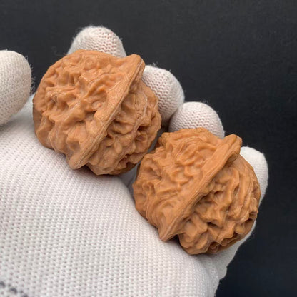 Heaven &Earth Walnuts | Width39*Belly38*Height37 | No. 0260714-1 | Premium