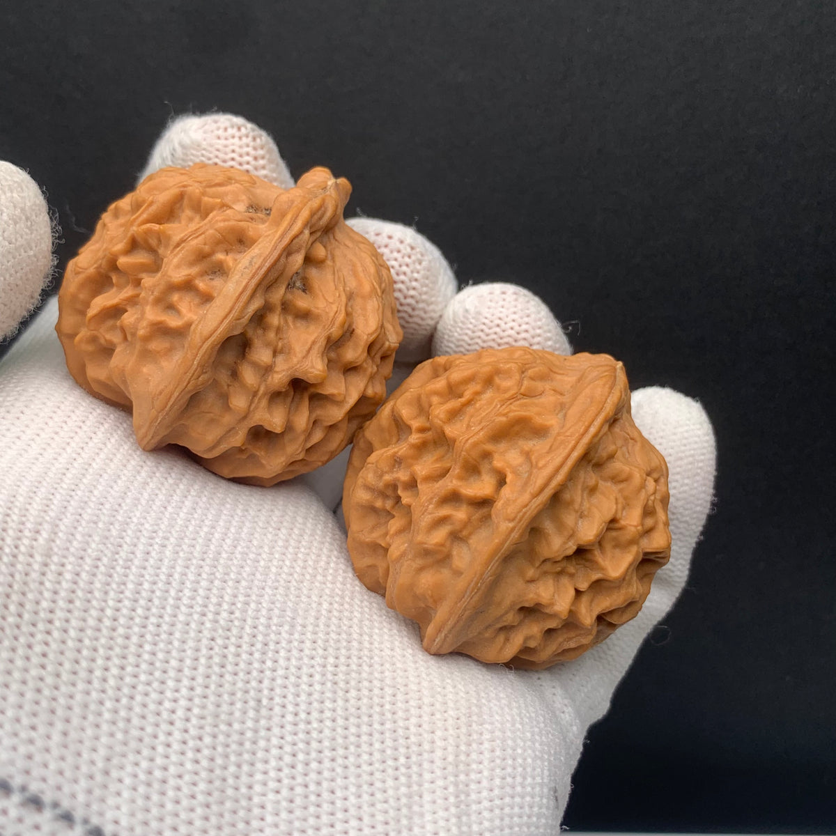 Heaven & Earth Walnuts | Width39*Belly38*Height38 | No. 0260622-05 | Premium