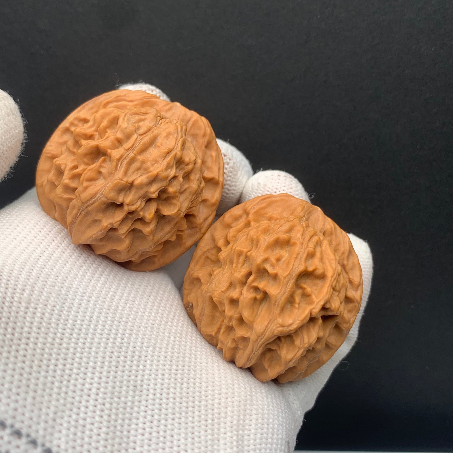 Heaven & Earth Walnuts | Width39*Belly38*Height38 | No. 0260622-05 | Premium