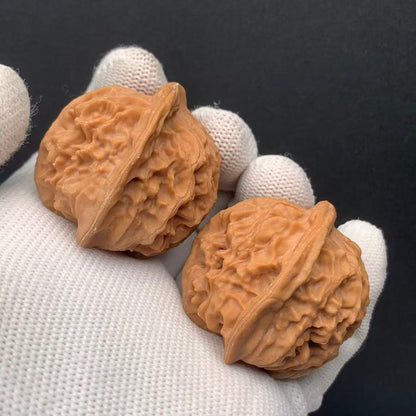 Heaven &Earth Walnuts | Width39*Belly38*Height37 | No. 0260714-1 | Premium