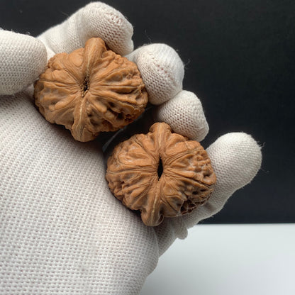 Ingot Walnuts | Width34*Belly36*Height33 | No. 6080401 | Premium