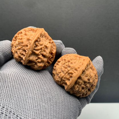 Imperial Seal Four-ridge Wenwan Walnuts | Width45*Belly41*Height39 | NO.69121 | Premium