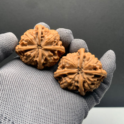 Imperial Seal Four-ridge Wenwan Walnuts | Width45*Belly41*Height39 | NO.69121 | Premium