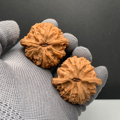 Lantern Wenwan Walnuts | Width42*Belly40*Height38 | NO.610111 | Premium