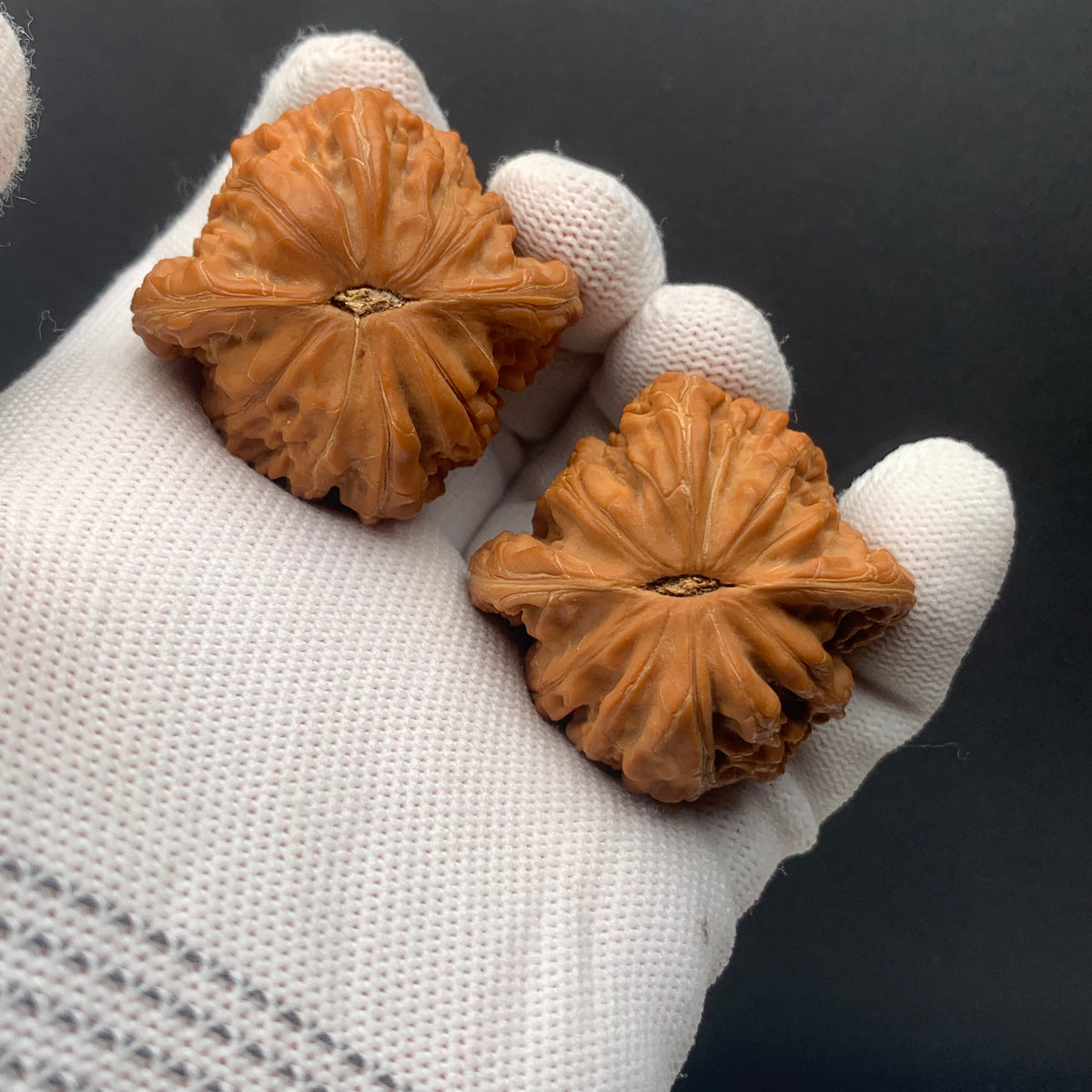 Millstone Walnuts | Width41*Belly39*Height34 | No. 67274 | Premium