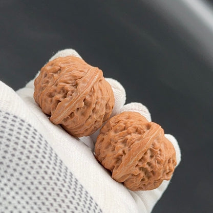 Specical Price | Millstone  Wenwan Walnuts（Ragular Grade）