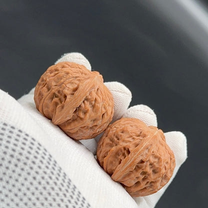 Specical Price | Millstone  Wenwan Walnuts（Ragular Grade）