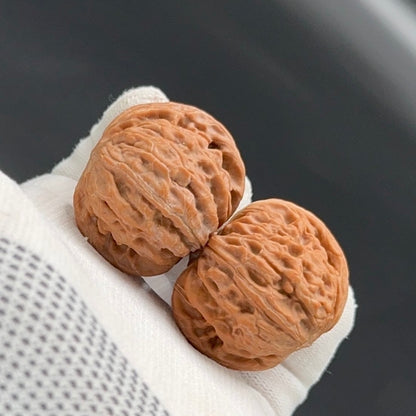 Specical Price | Millstone  Wenwan Walnuts（Ragular Grade）