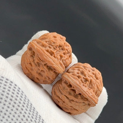 Specical Price | Millstone  Wenwan Walnuts（Ragular Grade）