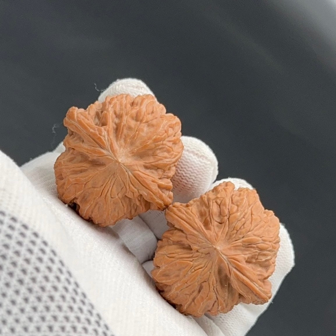 Specical Price | Millstone  Wenwan Walnuts（Ragular Grade）
