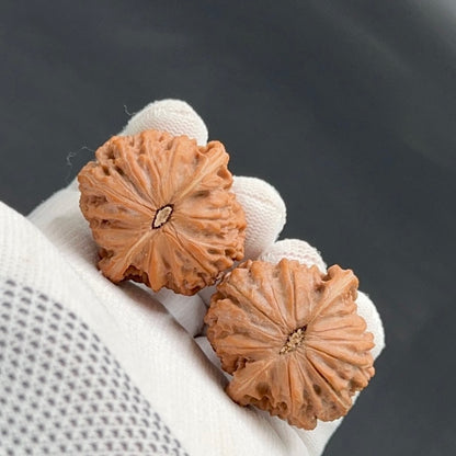Specical Price | Millstone  Wenwan Walnuts（Ragular Grade）