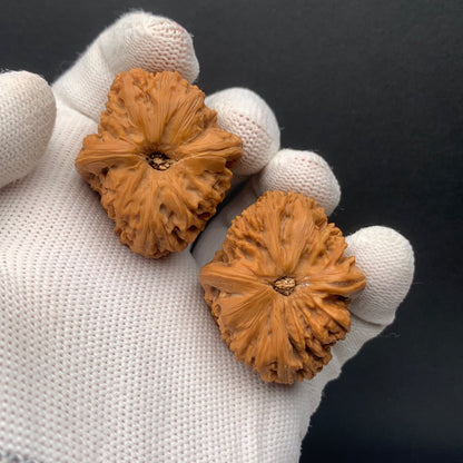Nanjiangshi Carved Walnuts | Width34*Belly38*Height38 | NO.67305 | Premium