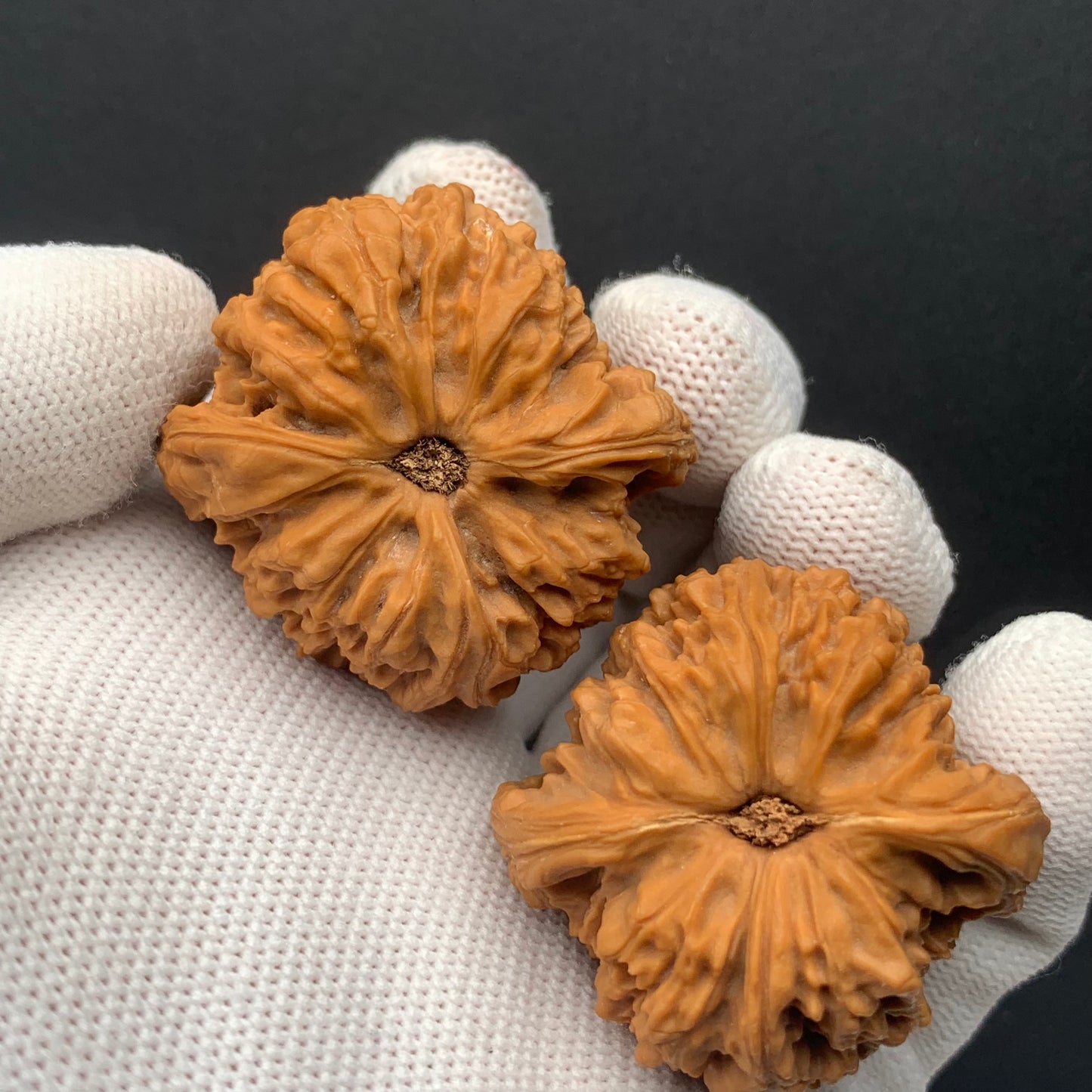 Nanjiang Stone Walnuts | Width39*Belly38*Height39 | No. 0260628-06 | Premium