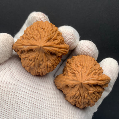 Nanjiang Stone Walnuts | Width39*Belly38*Height39 | No. 0260628-06 | Premium