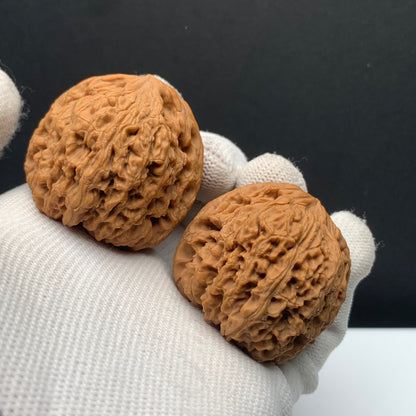 Nanjiang Stone Walnuts | Width40*Belly38*Height32 | No.608184 | Premium
