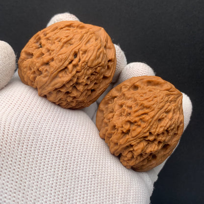 Nanjiang Stone Walnuts | Width39*Belly38*Height39 | No. 0260628-06 | Premium