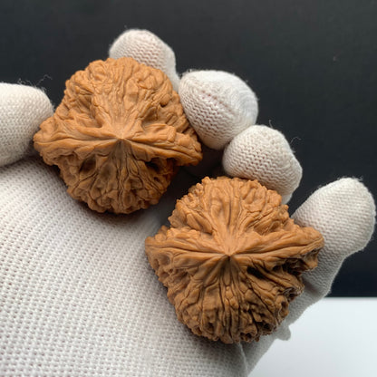 Nanjiang Stone Walnuts | Width40*Belly38*Height32 | No.608184 | Premium