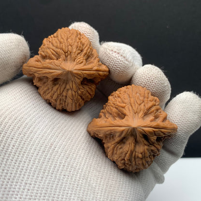 Nanjiang Stone Walnuts | Width33*Belly31*Height31 | NO.608185 | Premium