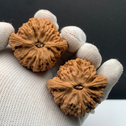Nanjiang Stone Walnuts | Width40*Belly38*Height32 | No.608184 | Premium