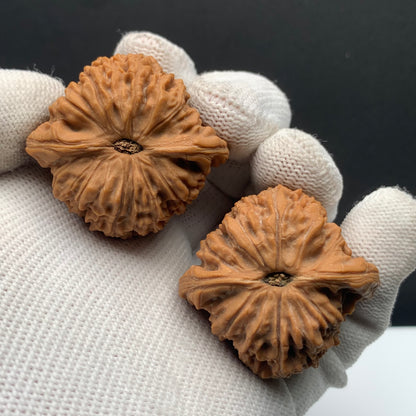 Nanjiang Stone Walnuts | Width33*Belly31*Height31 | NO.608185 | Premium
