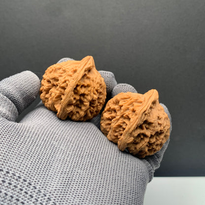 Angel's Wing Nanjiangshi Wenwan Walnuts | Width43*Belly41*Height40 | NO.68316 | Premium