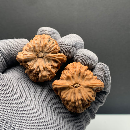 Devil‑Eye Triangle Nanjiangshi Wenwan Walnuts | Width38*Belly38*Height37 | NO.68318 | Premium